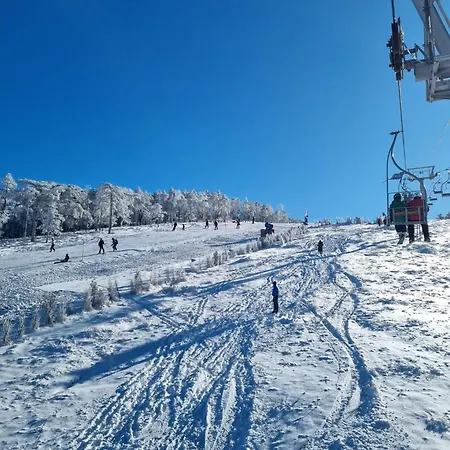 Apartment Detlic Divcigora