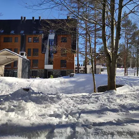 Detlic Divcigora Divčibare