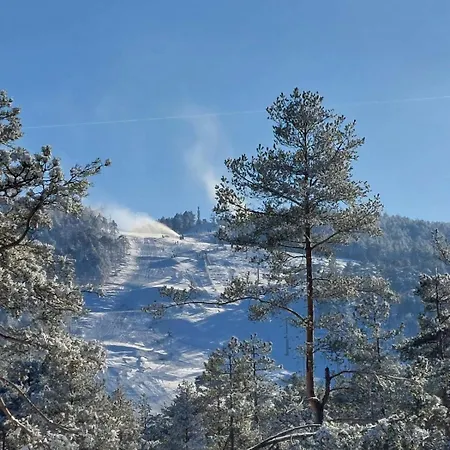 Detlic Divcigora * Divčibare