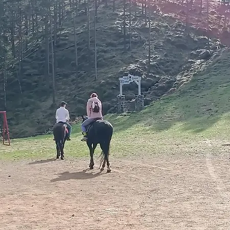 Detlic Divcigora * Divčibare