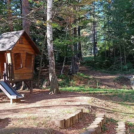 Apartment Detlic Divcigora *