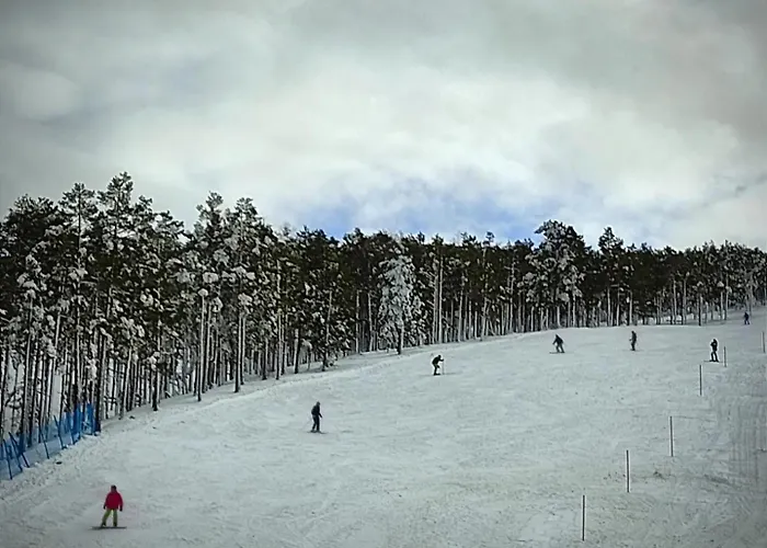 Detlic Divcigora Apartman *