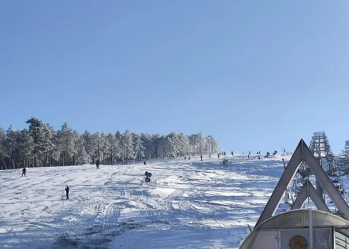 Detlic Divcigora Apartman *