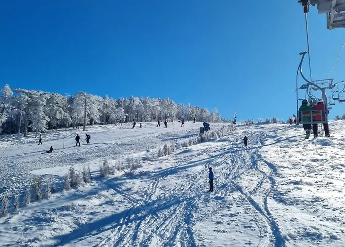 Apartman Detlic Divcigora