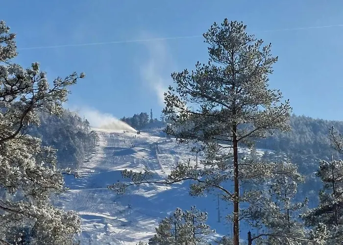 Detlic Divcigora * Divčibare