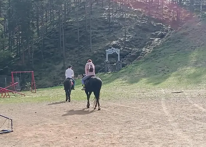 Detlic Divcigora * Divčibare