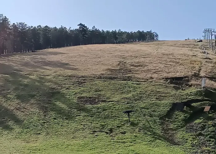 Detlic Divcigora * Divčibare